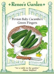 Persian Baby Cucumber Seeds - Baby Fingers