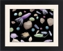 Framed Print of Mixture of flower and grass seeds, SEM from Science Photo Library