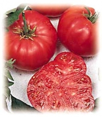 Watermelon Beefsteak Tomato 25 Seeds - Impressive!