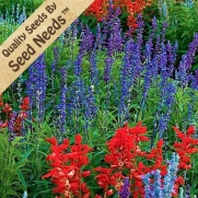 150 Seeds, Sage Glory Mixture (Salvia coccinea & farinacea) Seeds By Seed Needs