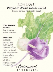 Purple & White Vienna Blend Kohlrabi Seeds - 2 grams - Botanical Interests