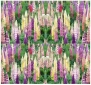 LUPINE RUSSELL MIX Flower Seeds YEARLY mixture of pink, red, blue and yellow - Perennial for Yearly Enjoyment (04400 Seeds - 4 oz)
