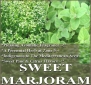 1 oz (132,000+) SWEET MARJORAM Seeds -FRAGRANT EXOTIC Sweet Pine & Citrus Flavor AROMATIC