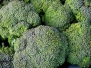 Todd's Seeds - Waltham 29 Broccoli Seed - 2g Seed Packet