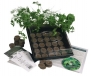 Indoor Culinary Herb Garden Starter Kit- Start Growing Fresh Cooking Herbs & Spices- Great Gift Idea!- Seeds: Parsley, Thyme, Cilantro, Basil, Dill, Oregano, Sweet Marjoram, Chives, Savory, Garlic Chives, Mustard, Sage