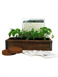 Reclaimed Barnwood Planter Box Mini Herb Garden Kit - Grow Cooking Herbs from Seed: Basil, Dill, Thyme, Parsley, Oregano, Cilantro