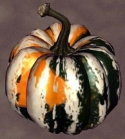 Carnival Gourd 12 Seeds - Delicious and Beautiful