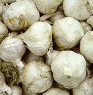 3+ ounces Italian Late Garlic Bulbs