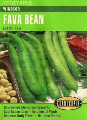 Fava Beans Windsor Seeds