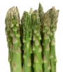 Asparagus (Officinalis) Mary Washington 200 Seeds/3.2 Grams by Earthcare Seeds
