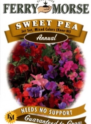 Ferry-Morse Annual Flower Seeds 1159 Sweet Peas - Jet Set Mixed Color 2.25 Gram Packet