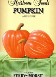 Ferry-Morse 3750 Heirloom Seeds Pumpkin - Amish Pie