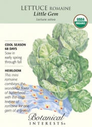 Lettuce Romaine Little Gem Certified Organic Seed