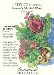 Lettuce Mesclun Farmer's Market Blend of 6 Varieties