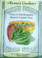 Red and Green Romaine Lettuce Seeds Caesar Duo 700 Seeds