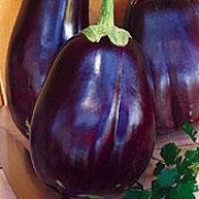 Eggplant Black Beauty Great Heirloom Vegetable 1,300 Seeds