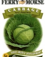 Ferry-Morse Seeds 1241 Cabbage - Ferry's Round Dutch 1 Gram Packet