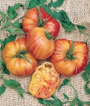 Mr Stripey Tomato 30+Seeds Big Juicy Beefsteak 1lb Fruit By Seeds and Things