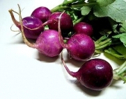 Rare Purple Plum Radish 100 Seeds