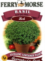 Ferry-Morse 1610 Basil Herb Seeds, Bush Spicy Globe (250 Milligram Packet)