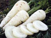 Lunar White Carrot 100 Seeds - Tender,Coreless,Sweet