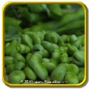 1/4 Lb - Fava Bean Seeds - 'Fava Broad Windsor' Bulk Vegetable Seeds