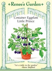 Eggplant - Container - Little Prince Seeds