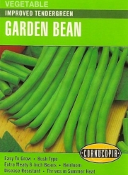 Bush Bean Improved Tendergreen Seeds