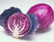 Red Acre Cabbage 200+ Seeds - GARDEN FRESH PACK!