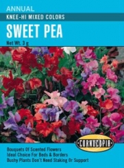Sweet Pea Knee High Mixed Colors Seeds