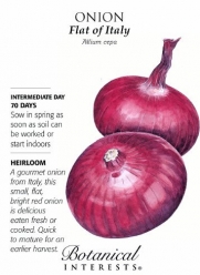 Onion Flat of Italy Heirloom Seeds 200 Seeds