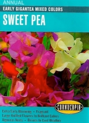 Sweet Pea Seeds - Early Gigantea Mixed Colors