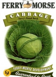 Ferry-Morse Seeds 1241 Cabbage - Ferry's Round Dutch 1 Gram Packet