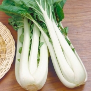 150 Seeds, Cabbage Pak Choi White Stem (Brassica oleracea) Seeds By Seed Needs