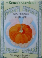Mini Jack Baby Pumpkin Seeds 25 Seeds