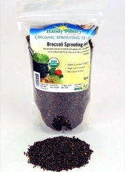 Organic Broccoli Sprouting Seeds - 16 Oz (1 Lbs)- Organic- Edible Seed, Gardening, Hydroponics, Growing Salad Sprout & Food Storage- Brocolli Sprouts Contain Sulforaphane