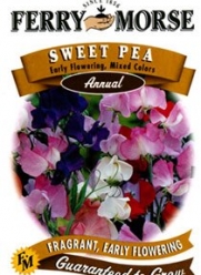 Ferry-Morse 1937 Sweet Pea Flower Seeds, Early Flowering, Mixed Colors (7.5 Gram Packet)