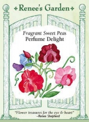 Fragrant Sweet Pea Seeds - Perfume Delight - Renee's Garden