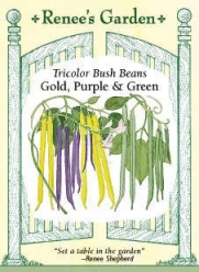 Heirloom Bean Tricolor Bush Heirloom Seeds 75 Seeds