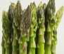 Asparagus Heirloom Mary Washington 100 Seeds Fresh Seed Pack By Hinterland Trading
