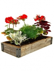 Reclaimed Barnwood Planter Box Flower Garden Kit - Includes: Weathered Rustic Barn Wood Planter, Soil, Flower Seeds & Instructions