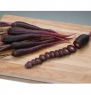 Carrot Deep Purple 1000 Organic Seeds by David's Garden Seeds