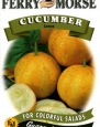 Ferry-Morse 1275 Cucumber Seeds, Lemon (1.75 Gram Packet)