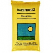 Barenbrug Usa 50Lb Pro Bluegrass Seed 491123 Grass Seed