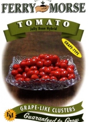 Ferry-Morse Seeds 1818 Tomato - Jelly Bean Hybrid 394 Milligram Packet