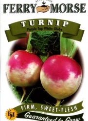 Ferry-Morse 1411 Turnip Seeds, Purple Top White Globe (4 Gram Packet)