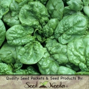 180 Seeds, Spinach Bloomsdale Long Standing (Spinacia oleracea) Seeds By Seed Needs