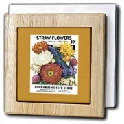 BLN Vintage Seed Packet Reproductions - Straw Flowers Choice Mixture Vintage Seed Packet Reproduction - Tile Napkin Holders - 6 inch tile napkin holder