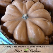15 Seeds, Pumpkin Fairytale (Cucurbita pepo) Seeds By Seed Needs