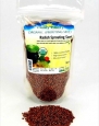 Organic Diakon Radish Sprouting Seeds - 1 Lb - Handy Pantry Brand - Grow Sprouts, Gardening, Food Storage & More